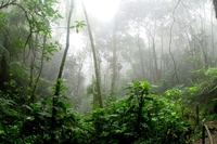 Colombia, la deforestazione cala per la prima volta dal 2016