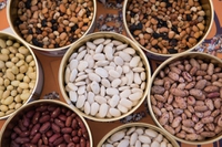 Terra Madre Salone del Gusto, il cibo per cambiare il mondo