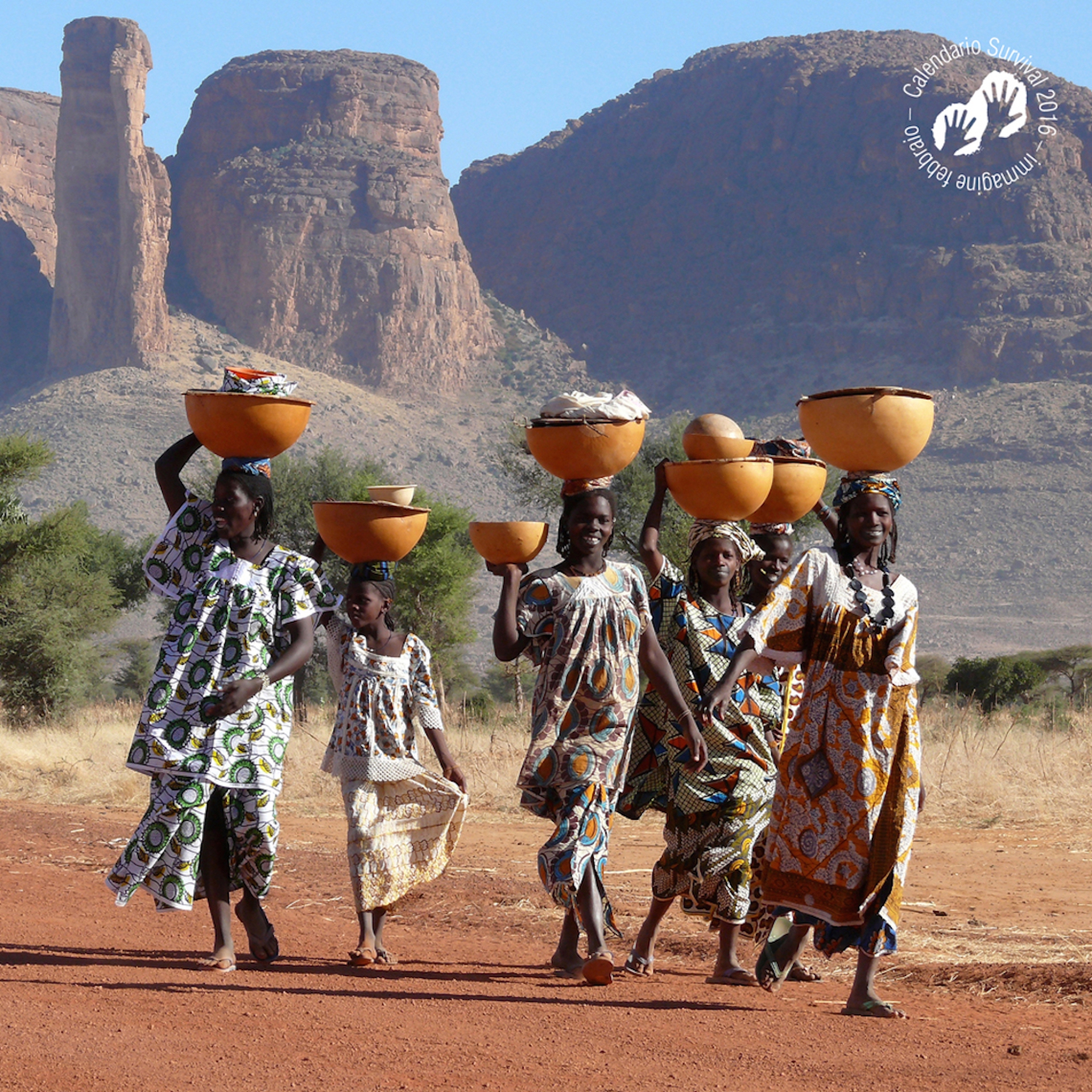 2016 calendar of Survival International, February