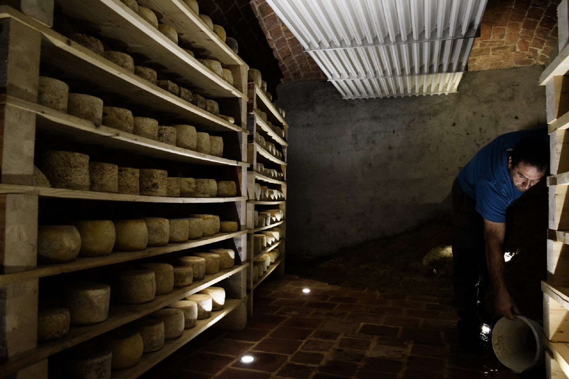 Formaggi stagionatura