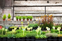 C’è abbastanza suolo per nutrire un pianeta di città?