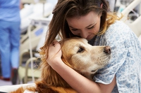 Pet therapy, gli animali sono felici di aiutare i pazienti