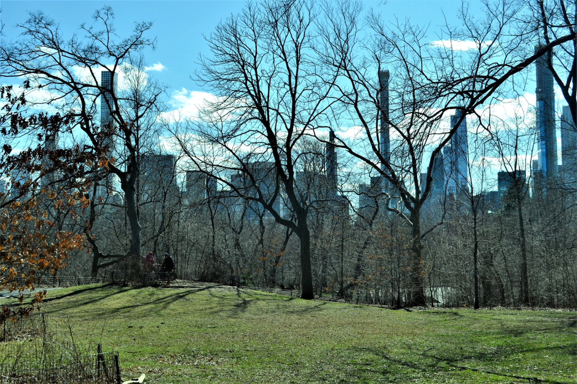 Central Park è il polmone verde di New York
