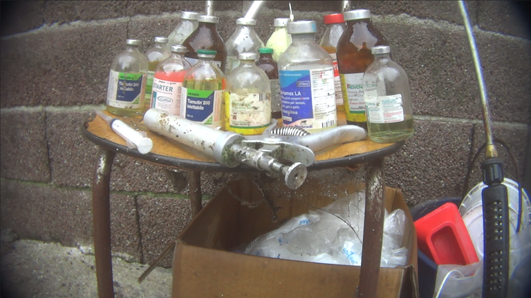 Medicine impiegate negli allevamenti per mantenere in vita gli animali