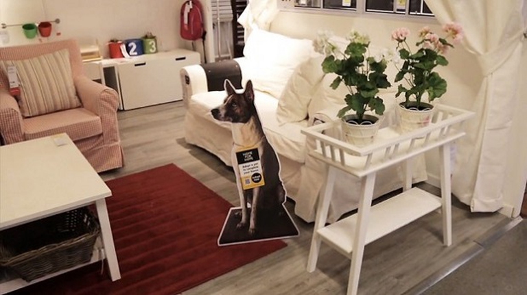 ikea_cani2