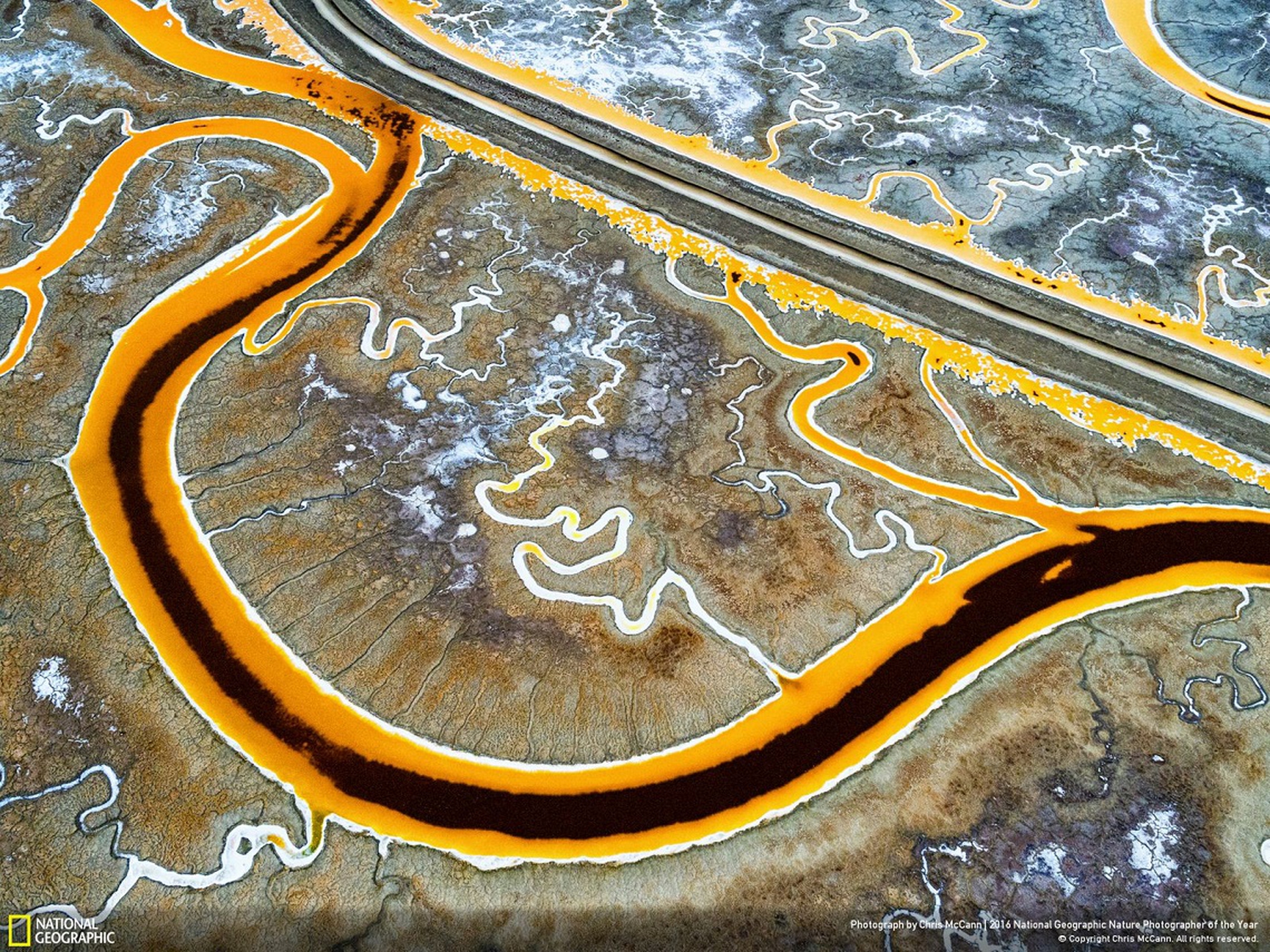 The View Outside Facebook HQ - National Geographic Nature Photographer of the Year