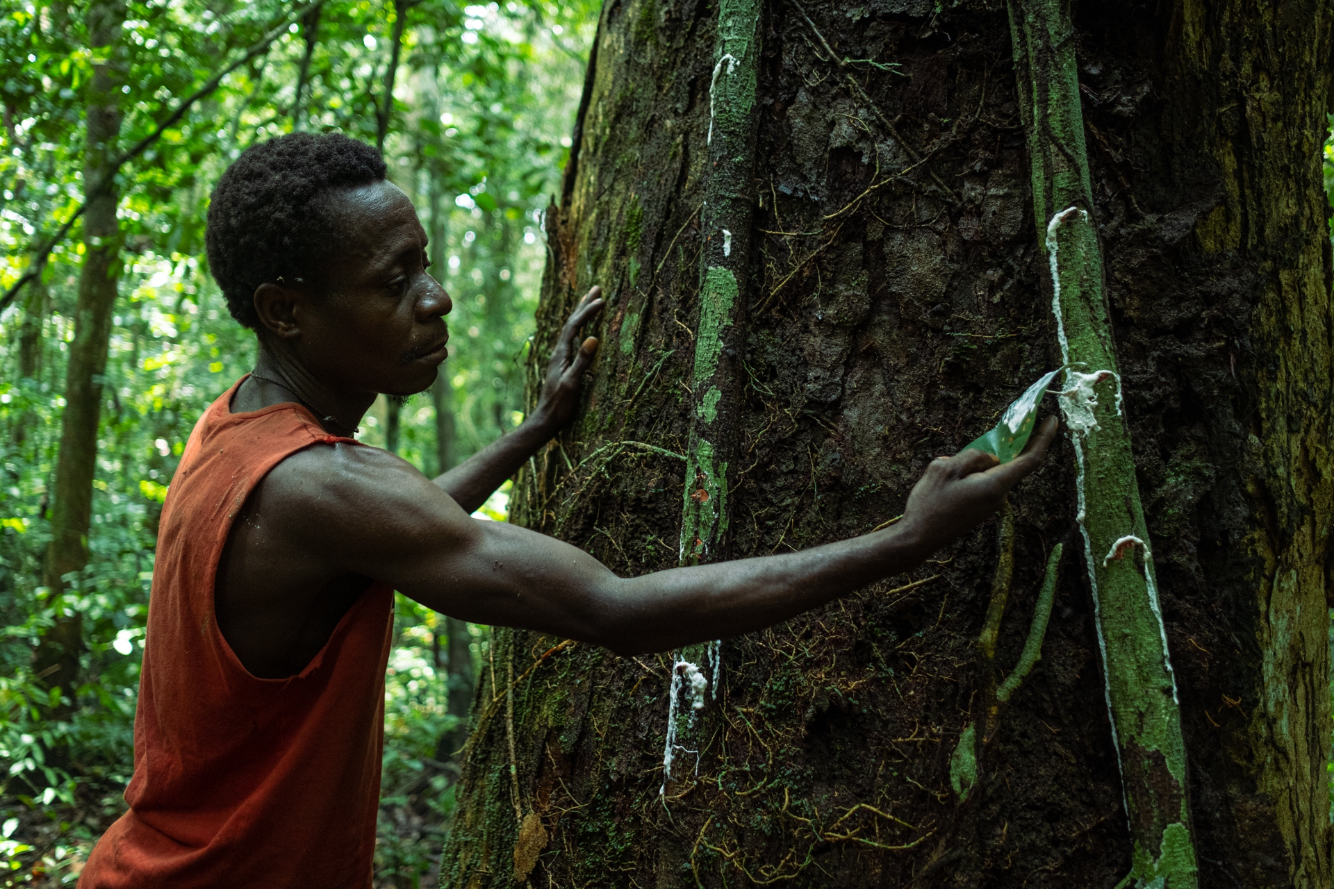 Foto Pigmei Congo-ventuno