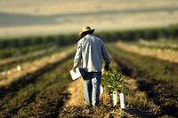 Politica agricola comune, il Parlamento europeo approva la riforma