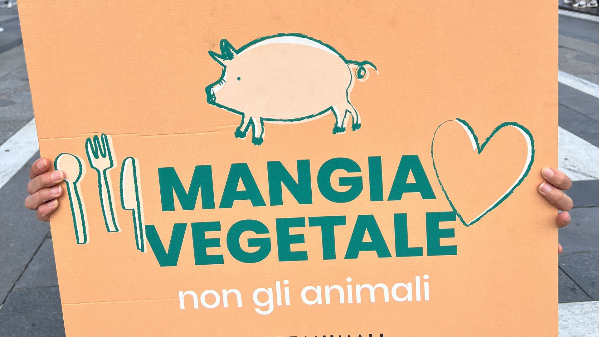 Alimentazione veg
