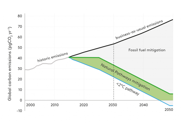 natural solutions climate change