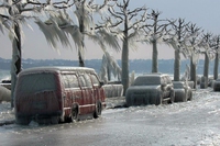 Gelicidio e gli altri modi in cui il gelo si fa vedere in inverno