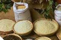 Nasce il primo riso certificato Fairtrade