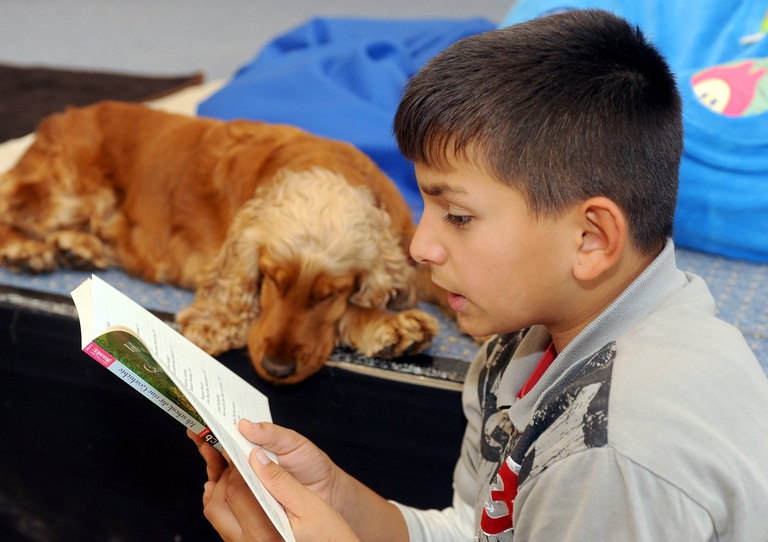 Bambino legge al suo cane