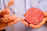 Il primo hamburger di carne coltivata in laboratorio costa 330.000 dollari
