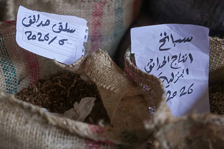 banca dei semi gaza