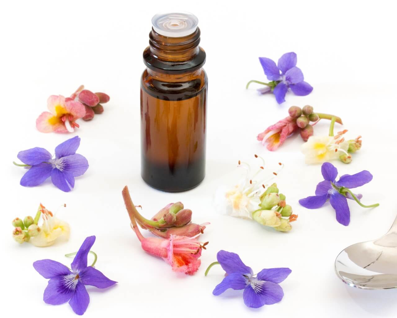 fiori di bach water violet