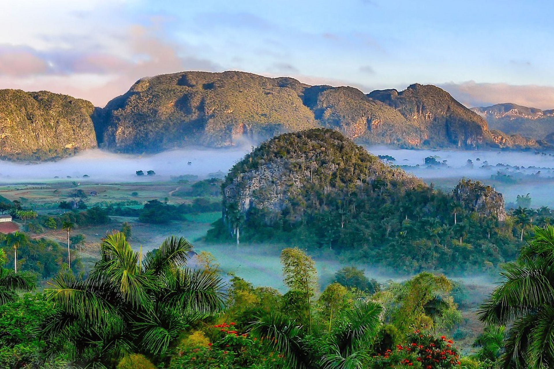 Prtendo con Sharewood per Cuba sostieni il progetto PlasticLess®