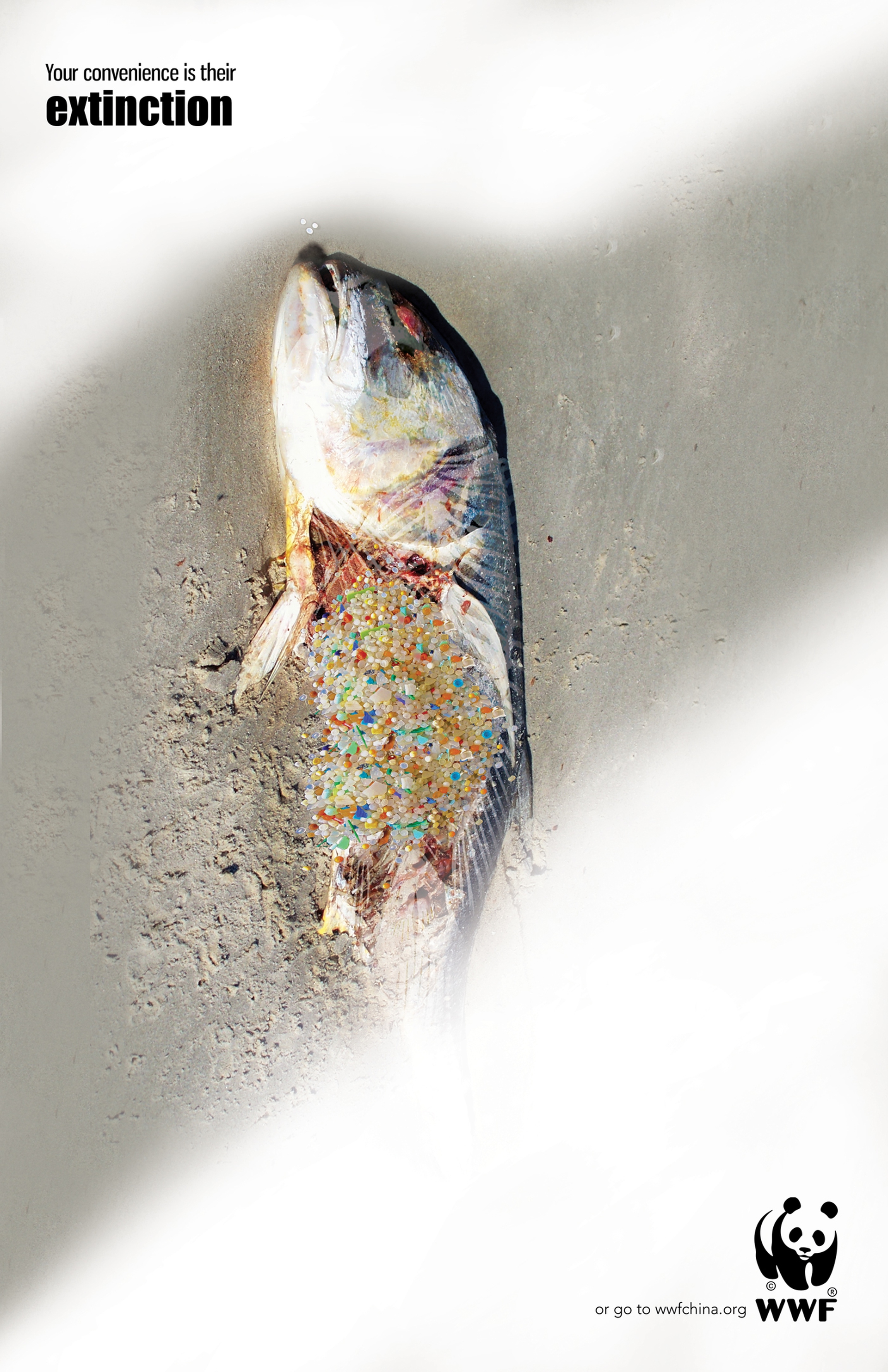 wwf-extinction-4