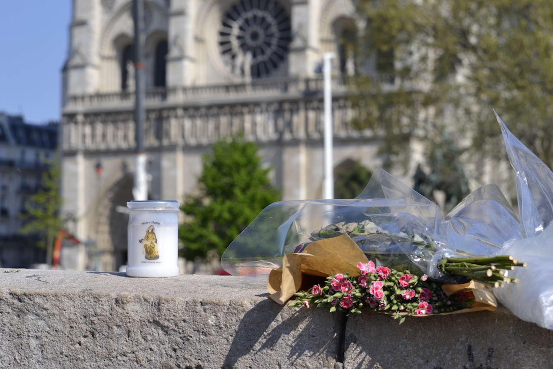 La cattedrale di Notre Dame a Parigi dopo il rogo27