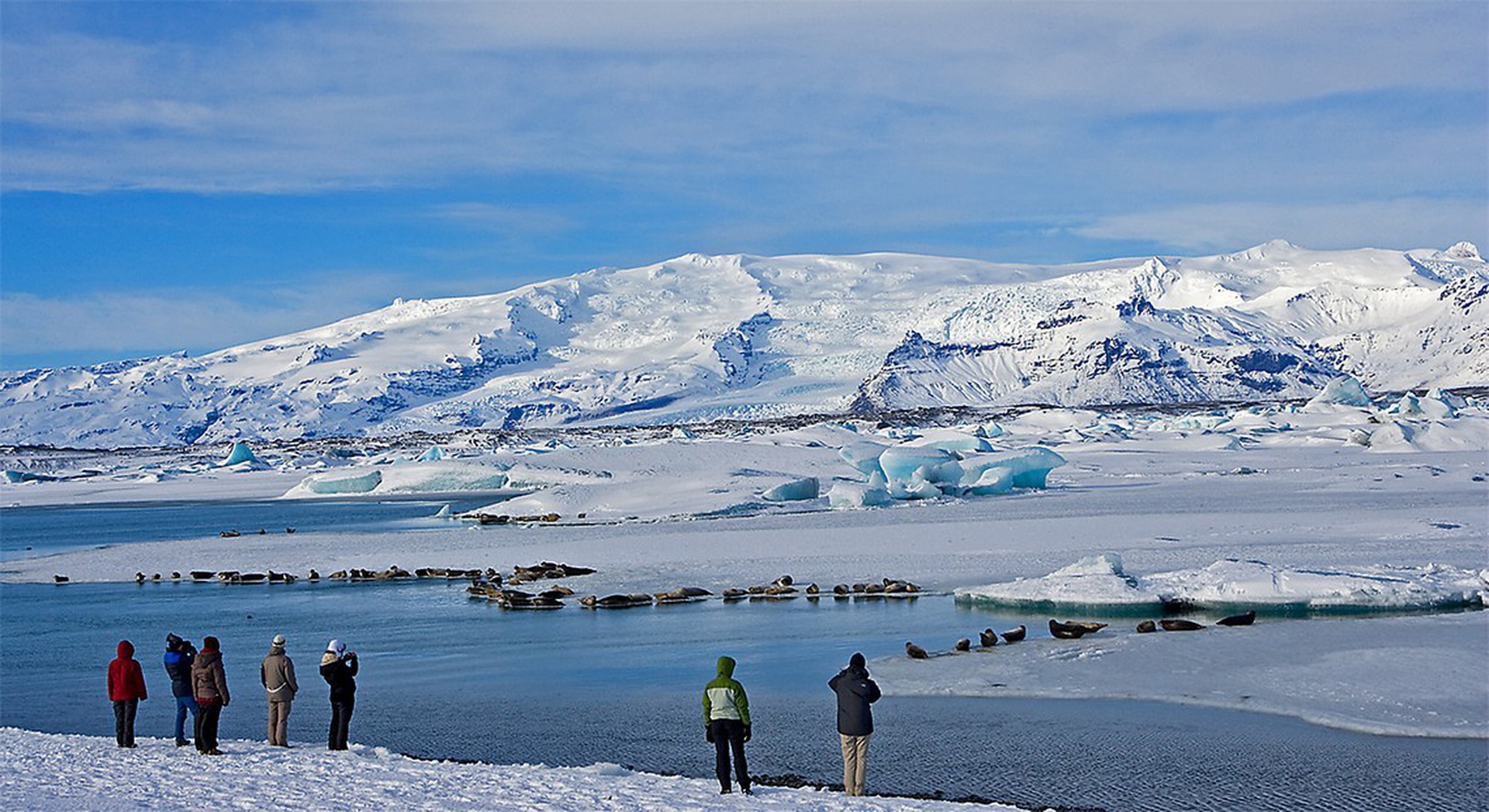 I droni salveranno gli orsi polari immigrati in Islanda