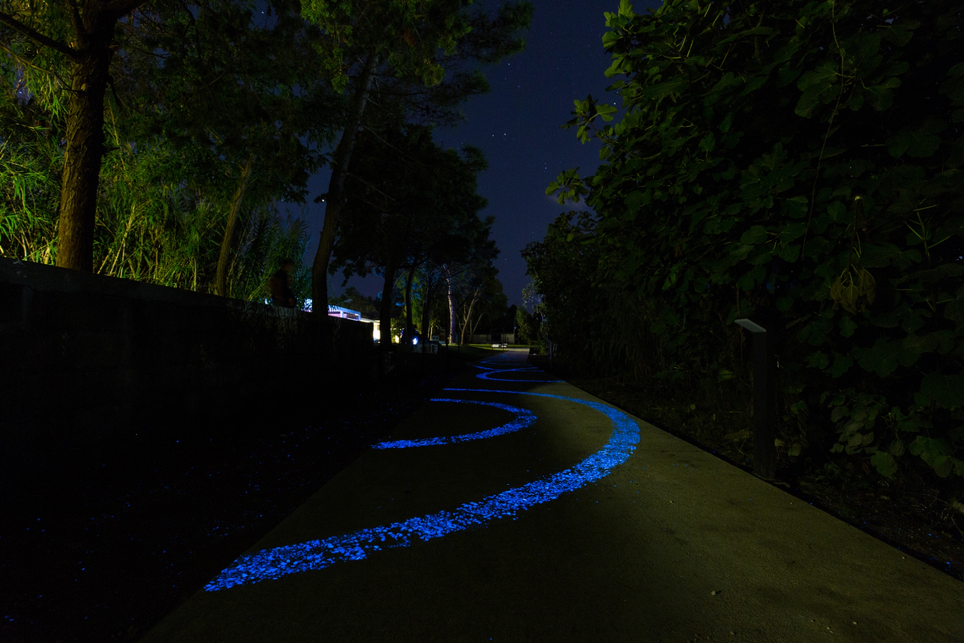 Pista ciclabile luminescente