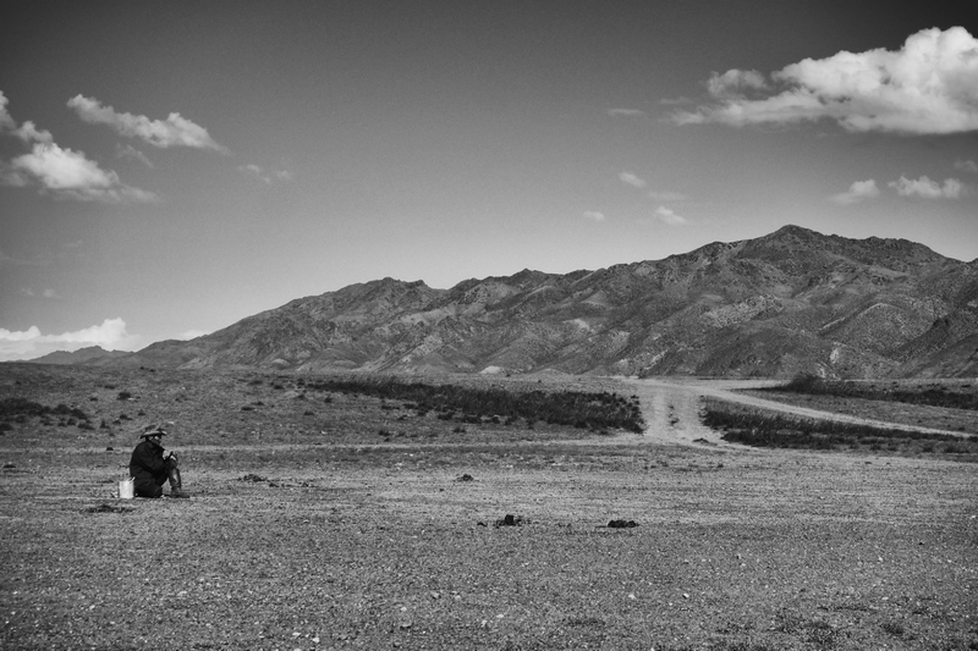 Sara Munari, Vanishing Shepherds