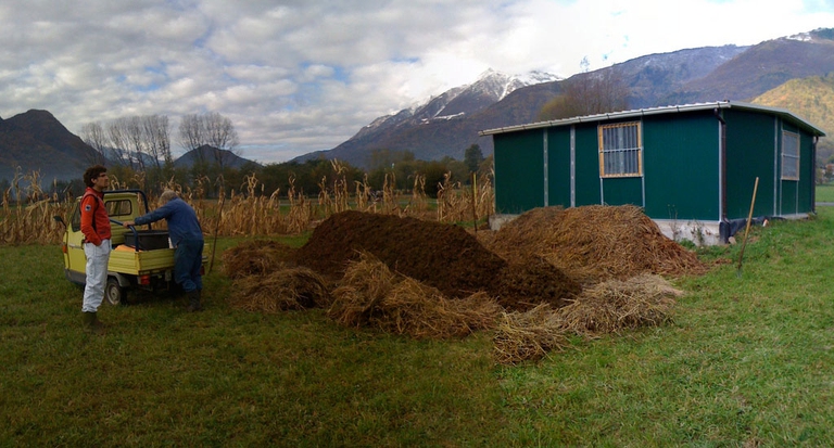 Rudolf-Steiner-pratiche-biodinamiche