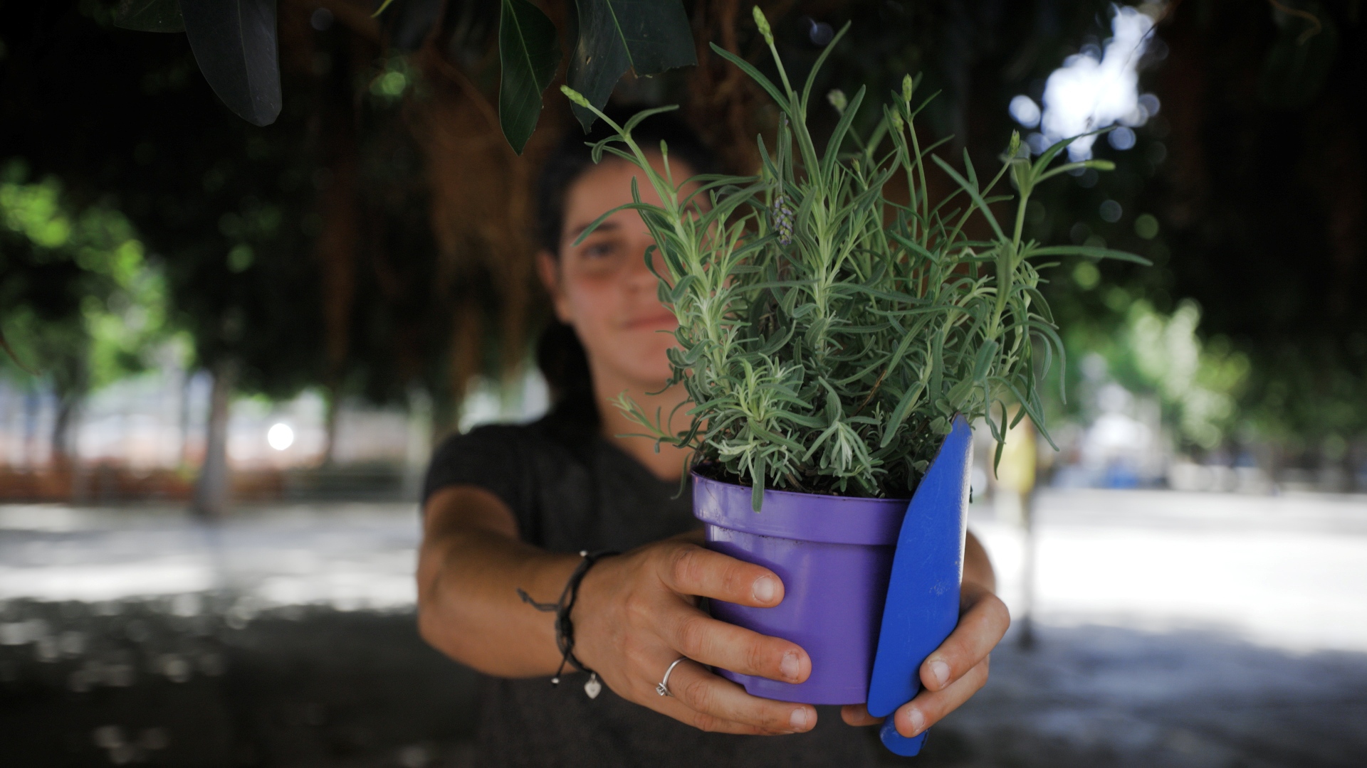 Giardinieri d'assalto