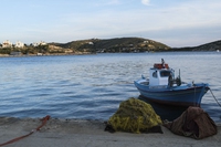 La biodiversità della Grecia è a rischio a causa del riscaldamento globale
