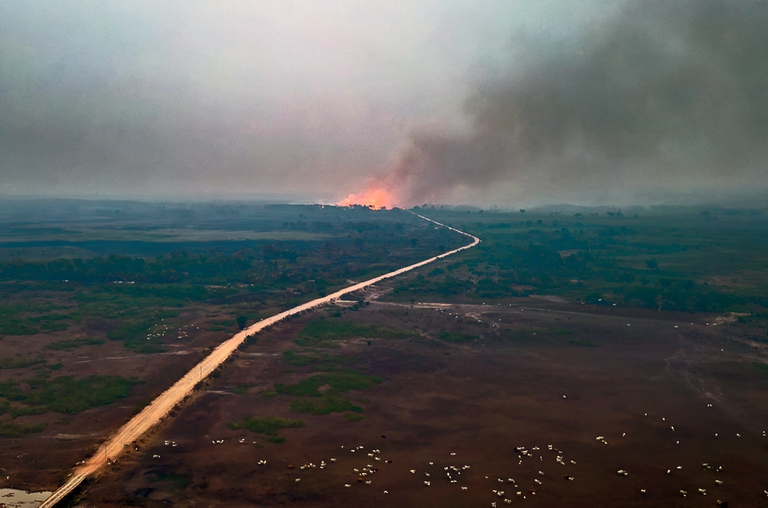 Gli incendi nel Pantanal, in Brasile