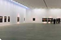 Una mostra vivace Sandretto Re Rebaudengo
