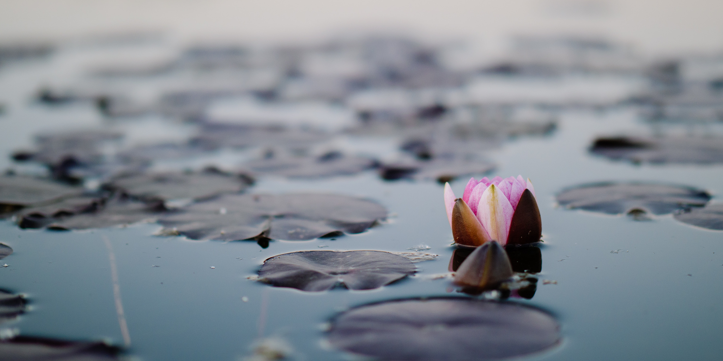 Respirare è un gesto naturale, ma farlo bene significa vivere