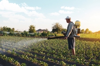 Pesticidi e Parkinson: uno studio identifica dieci sostanze coinvolte nello sviluppo della malattia