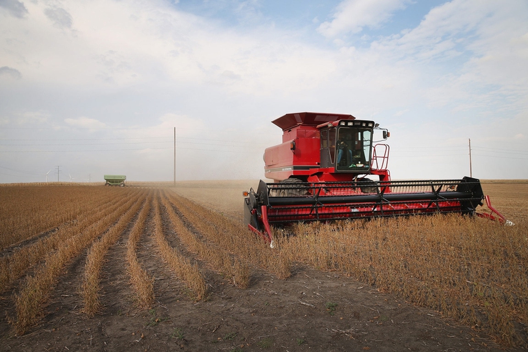 campo di grano con macchina rossa per il raccolto