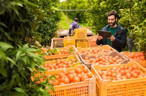 Cosa imparare dai piccoli agricoltori secondo Osvaldo De Falco