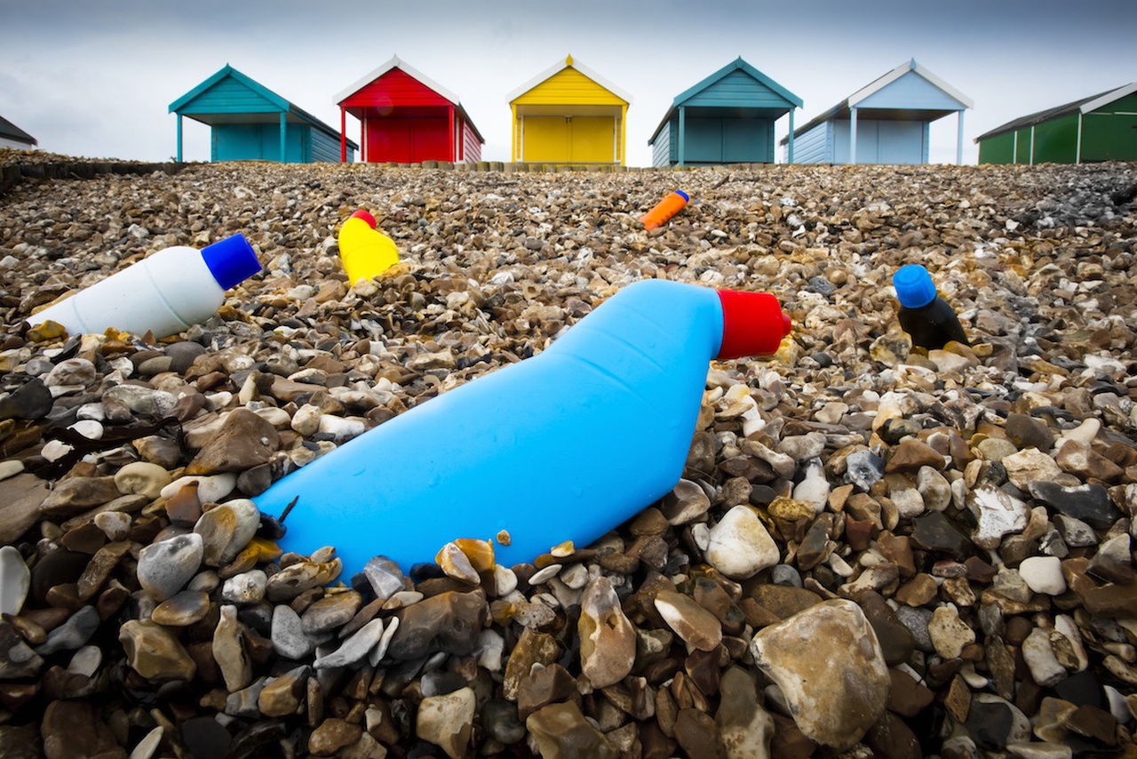 Litter and wildlife the photos that launched Lidl UK's new environmental initiative LifeGate