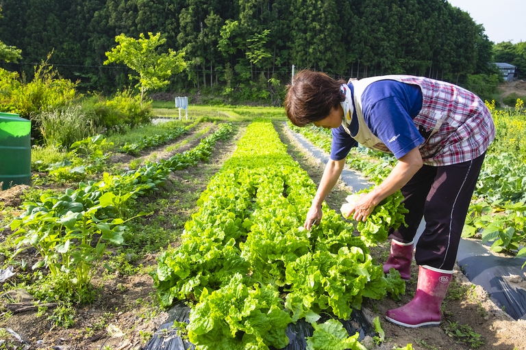 miwako ono fukushima