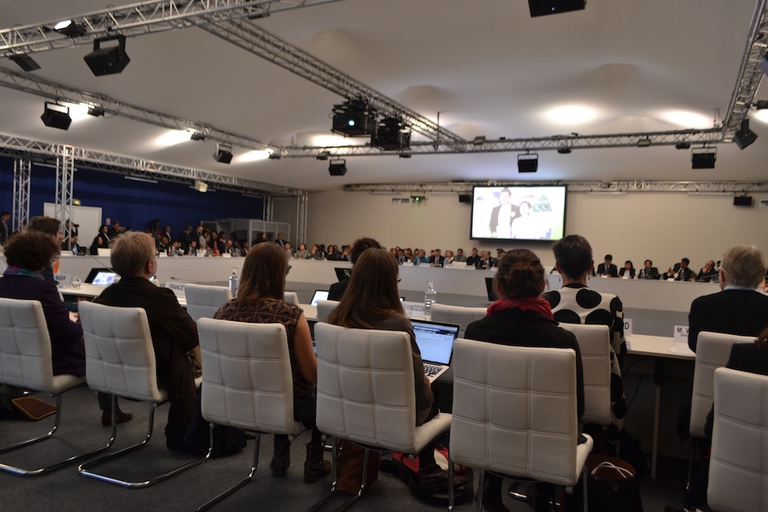 paesi vulnerabili cop 21