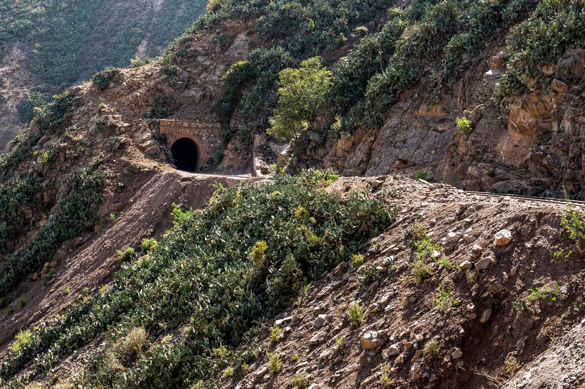 Scatti fatti durante i viaggi di Mille battute