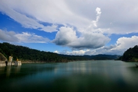 Costa Rica generated 98% of its electricity from renewables
