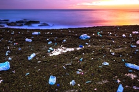 Nel 2017 Adidas ha venduto un milione di scarpe fatte con la plastica riciclata degli oceani