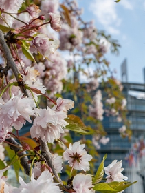 Through the eyes of the people. The EU Parliament’s environmental campaign in Italy