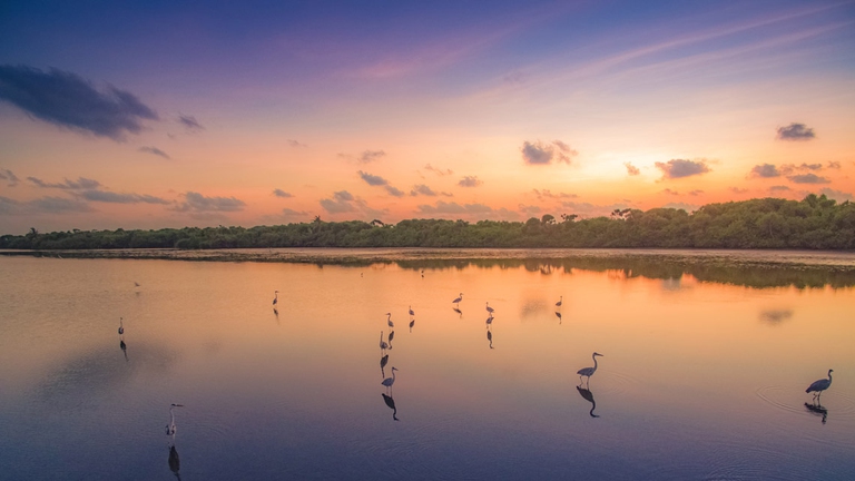 Le soluzioni naturali possono salvarci dalla catastrofe climatica © Ibrahim Shabil/Unsplash