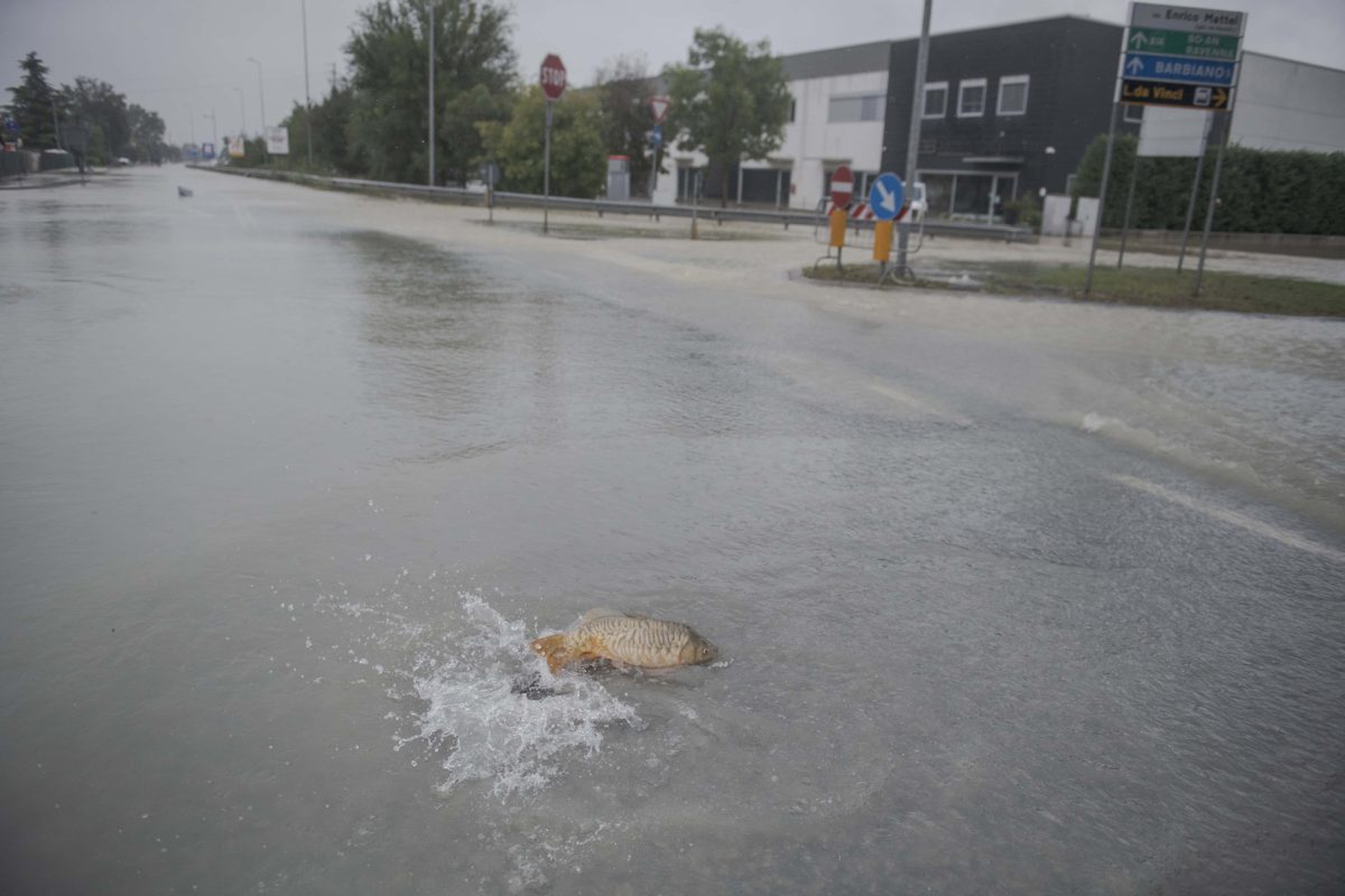 Alluvione in Emilia-Romagna