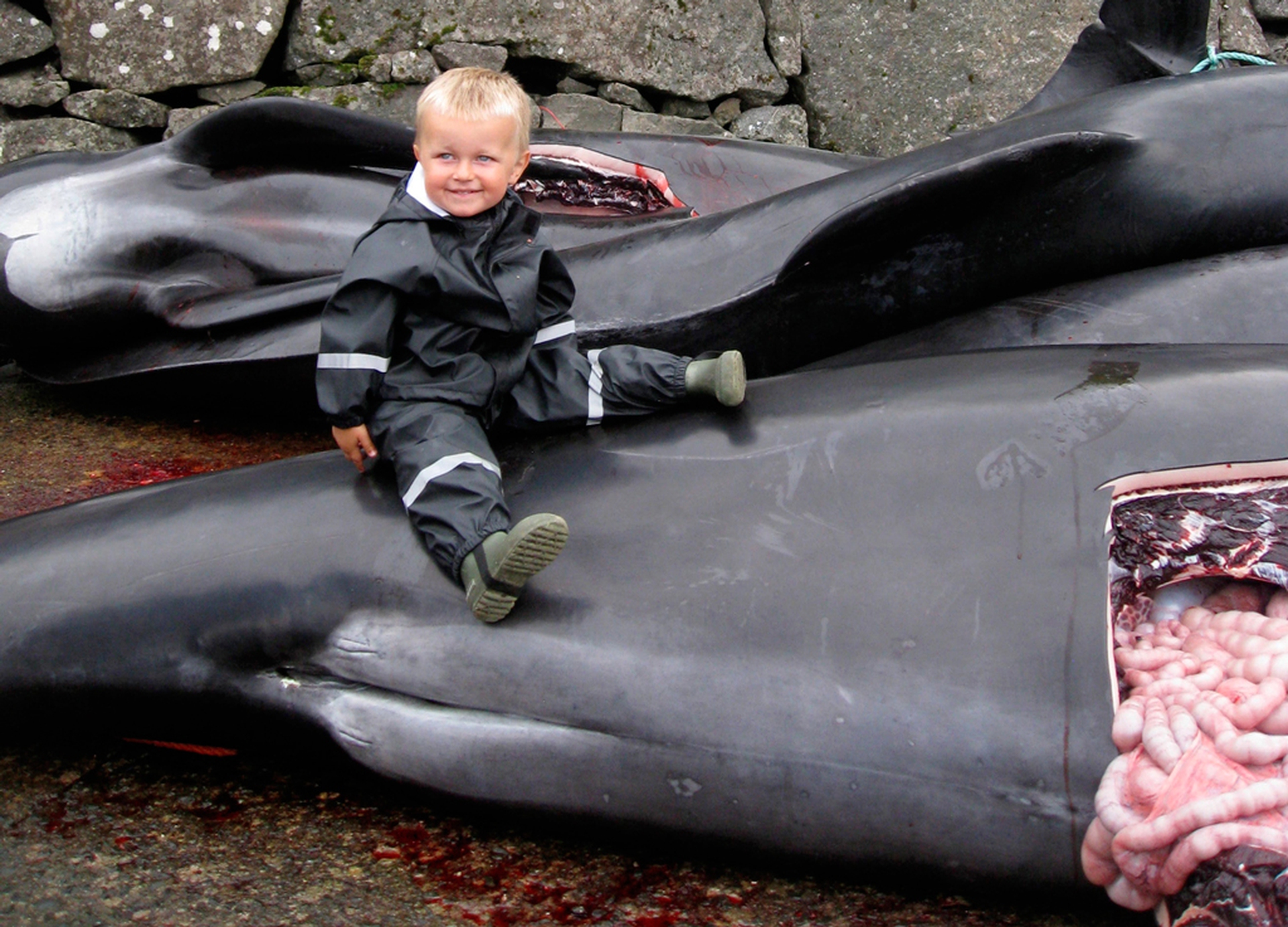 Grindstop 2014 - 7