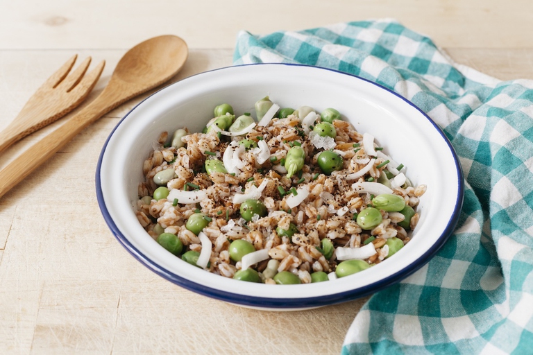 piatto di insalata di farro a temperatura ambiente