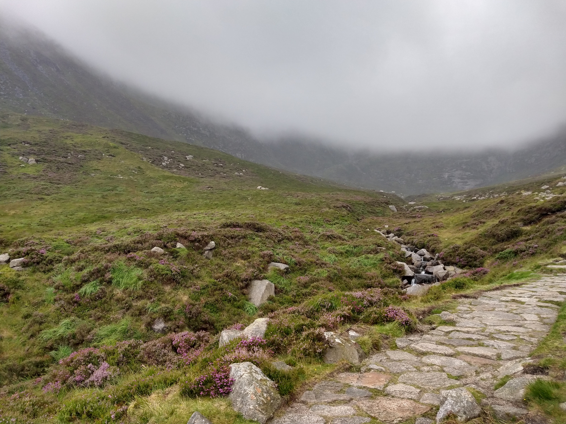 Path work in the Mournes