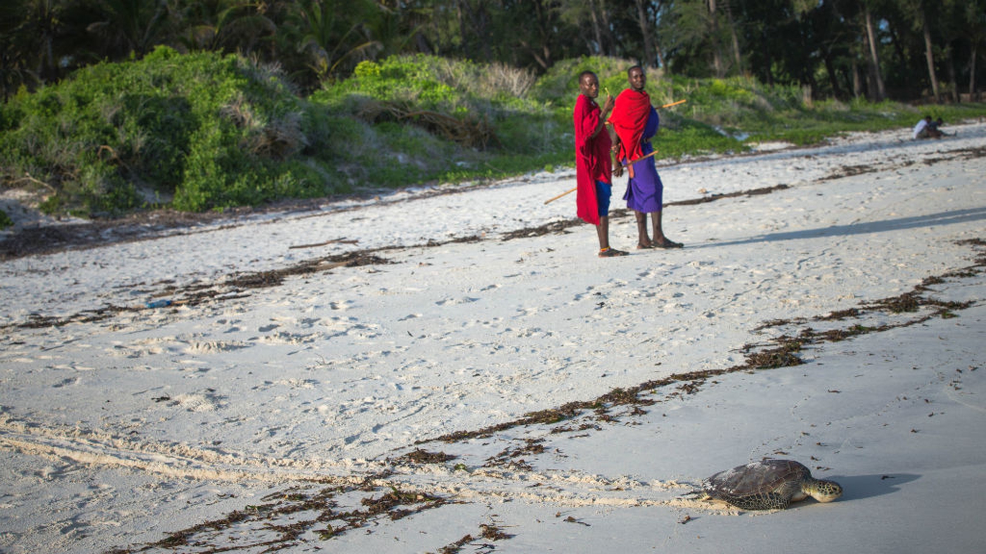 #kenyalive make it kenya