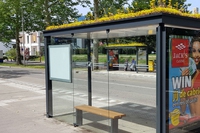 In questa città olandese le fermate dei bus hanno un tetto fiorito per attirare le api