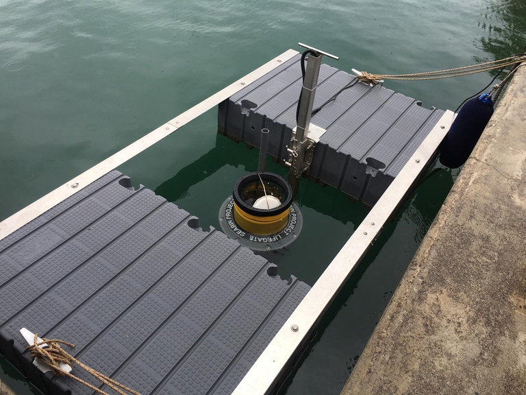 Seabin, LifeGate PlasticLess